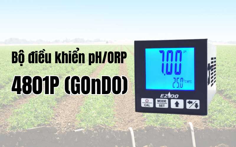 Bộ điều khiển pH/ORP 4801P (GOnDO)