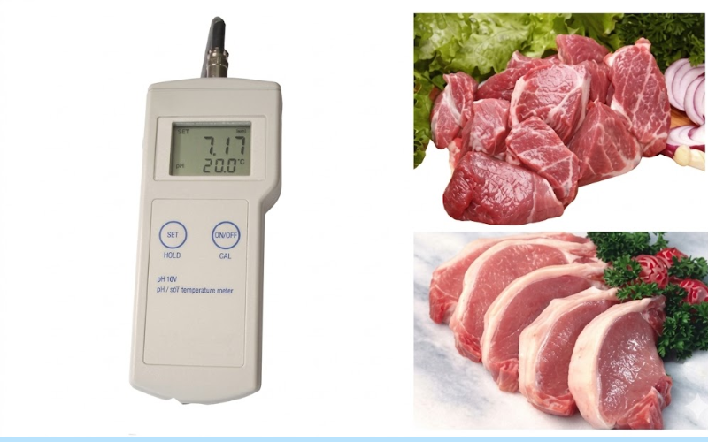 Mô tả chung về máy đo pH/mV/nhiệt độ cầm tay Milwaukee MI106