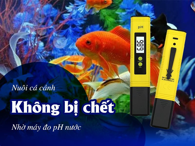 Nuôi Cá Cảnh Không Bị Chết Khi Biết Đến Máy Đo pH Nước