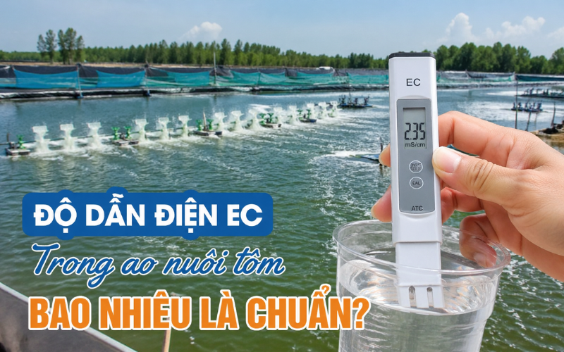 Độ Dẫn Điện EC Trong Ao Nuôi Tôm Bao Nhiêu Là Chuẩn?