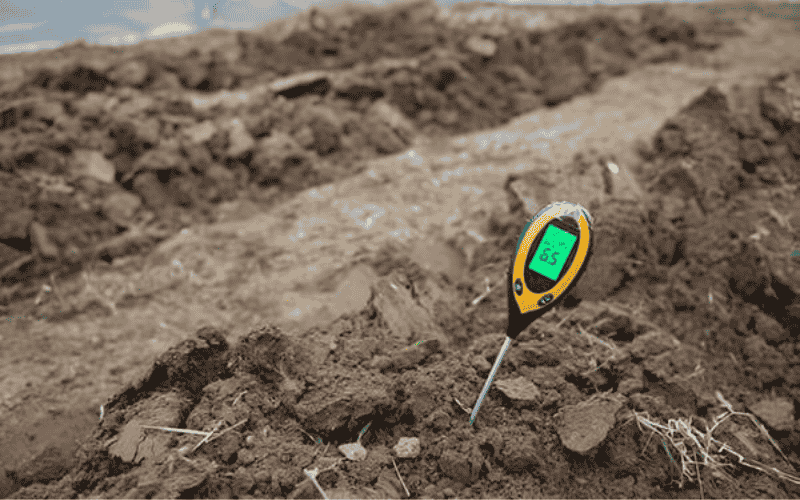 EC đất là gì và vai trò trong canh tác hữu cơ