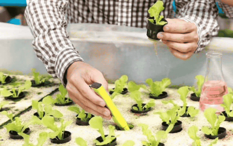 Lợi ích khi nông dân sử dụng bút đo EC đất