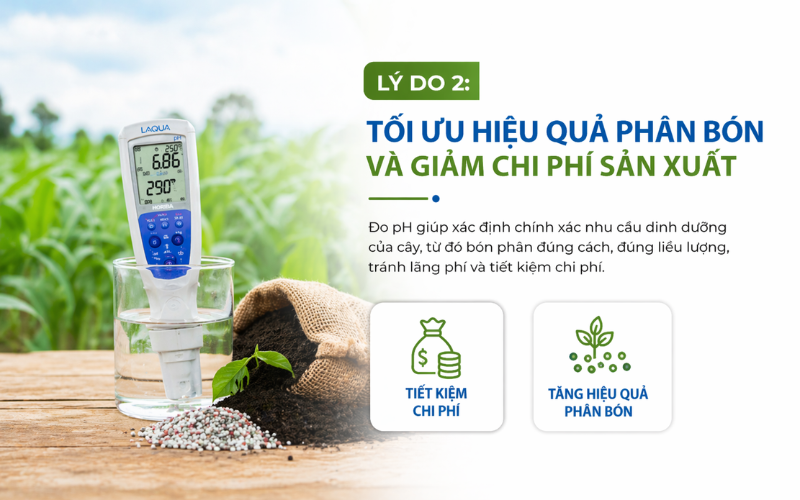 Tối ưu hiệu quả phân bón và giảm chi phí sản xuất