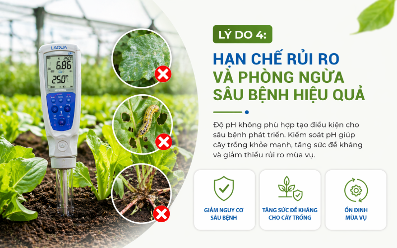 Hạn chế rủi ro và phòng ngừa sâu bệnh hiệu quả