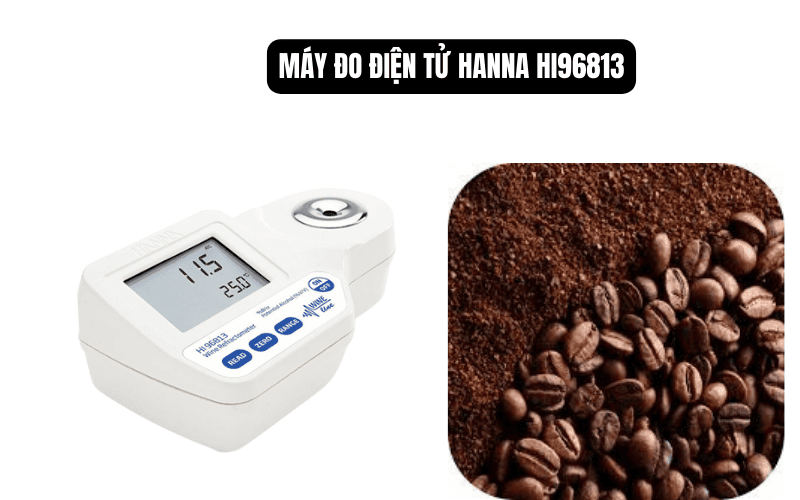 Máy đo điện tử Hanna HI96813