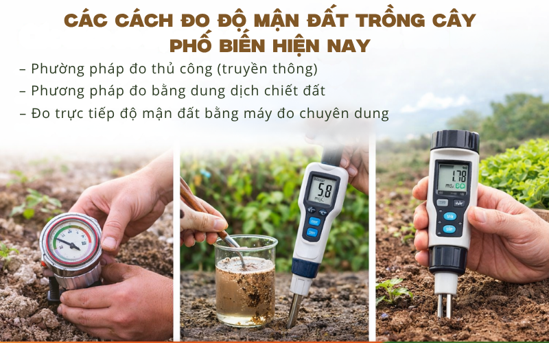 Các cách đo độ mặn đất trồng cây phổ biến hiện nay