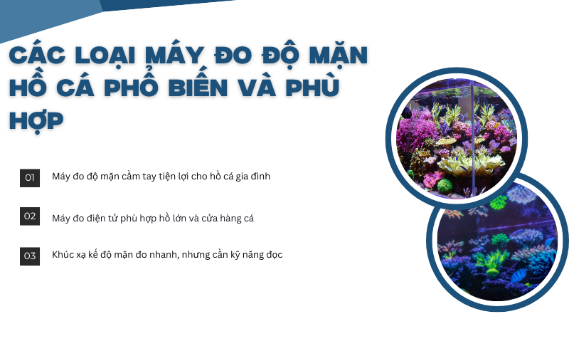 Các loại máy đo độ mặn hồ cá phổ biến và phù hợp 