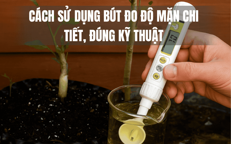 Cách Sử Dụng Bút Đo Độ Mặn Chi Tiết, Đúng Kỹ Thuật