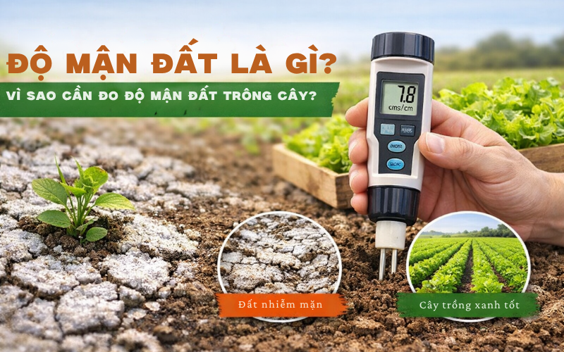 Độ mặn đất là gì? Vì sao cần đo độ mặn đất trồng cây