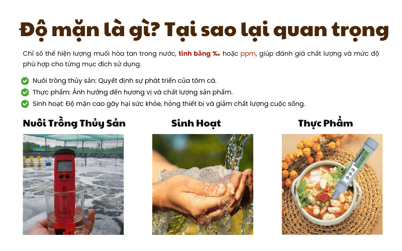 Độ mặn là gì? 