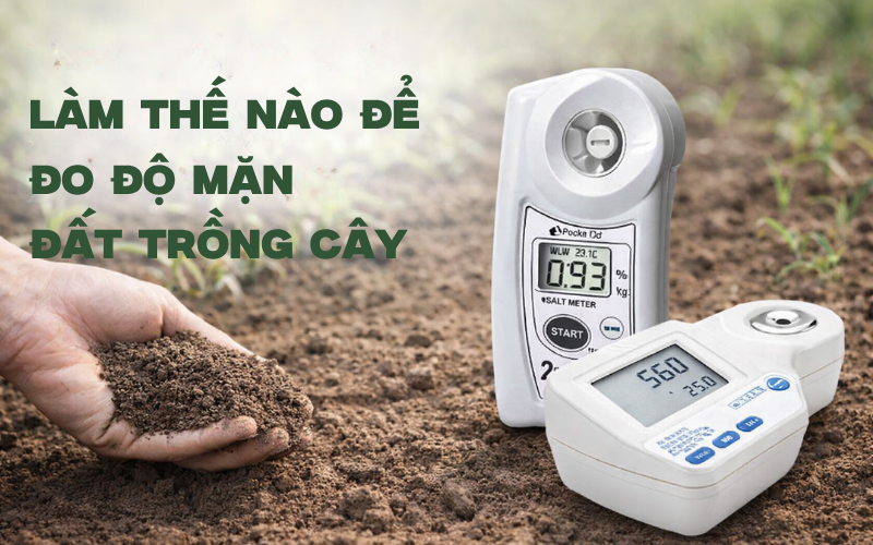 Làm Thế Nào Để Đo Độ Mặn Đất Trồng Cây