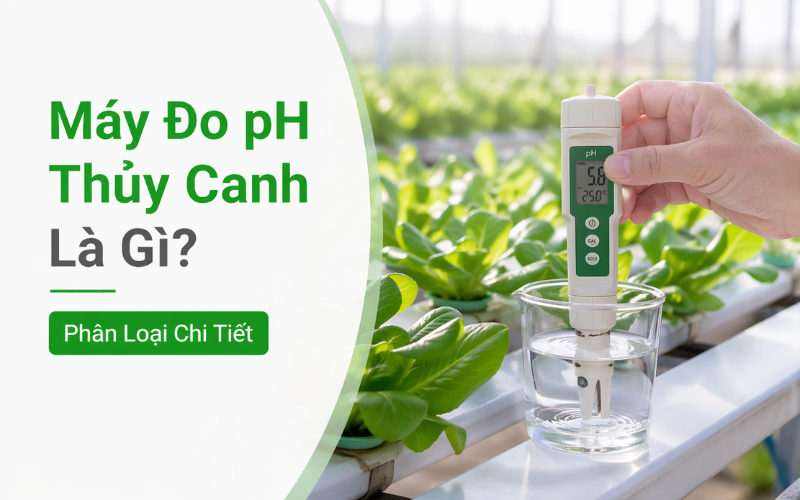 Máy Đo pH Thủy Canh Là Gì? Phân Loại Chi Tiết 