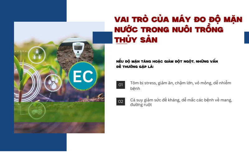 Vai trò của máy đo độ mặn nước trong nuôi trồng thủy sản