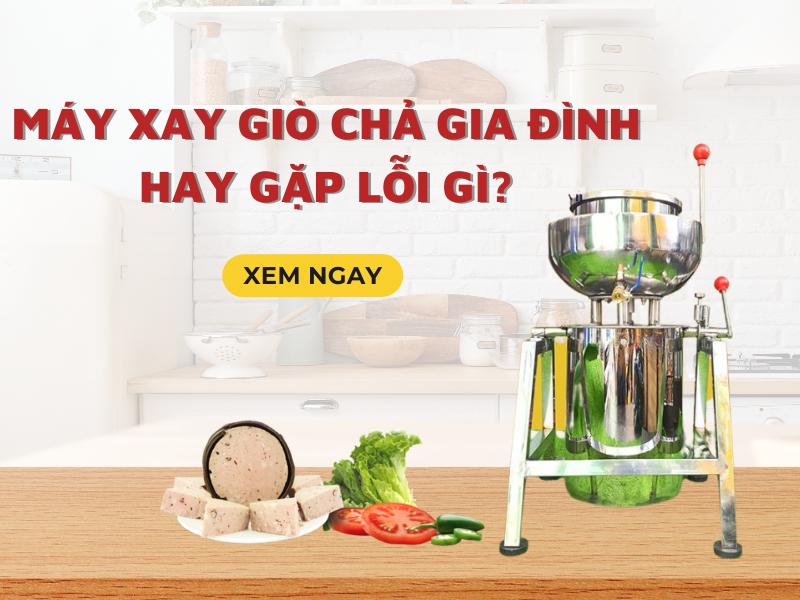 Máy Xay Giò Chả Gia Đình Hay Gặp Lỗi Gì