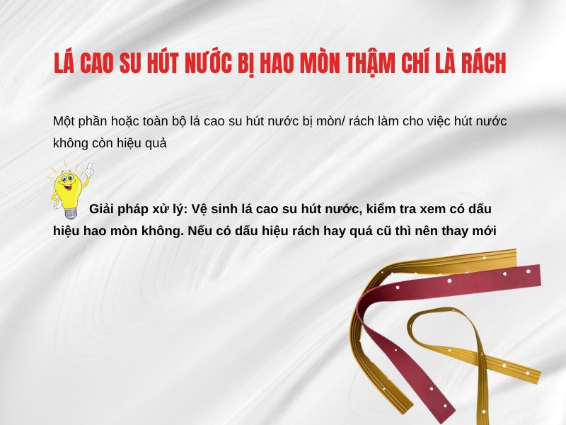 Lá cao su hút nước bị mòn rách