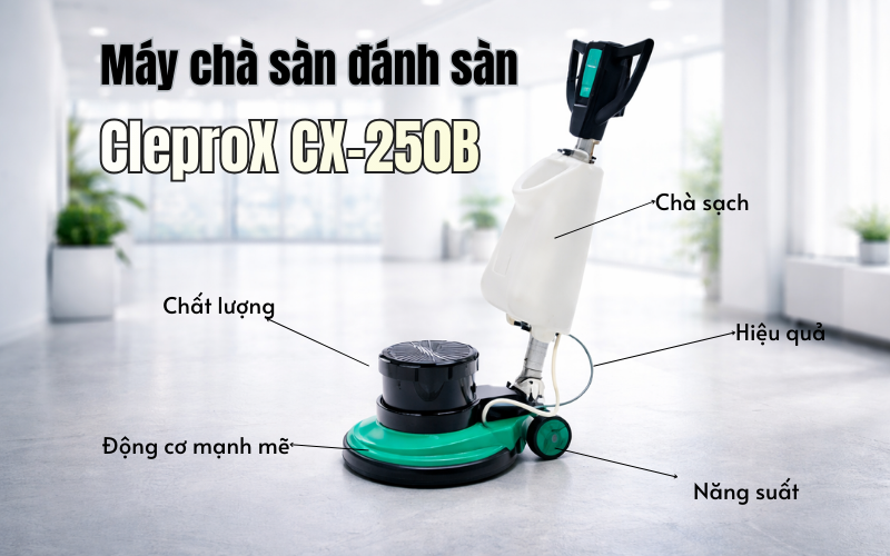Máy chà sàn đánh sàn CleproX CX-250B
