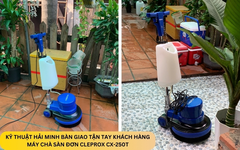 Máy chà sàn đơn cleprox CX-250T