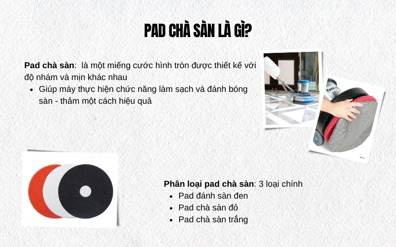 Pad chà sàn là gì