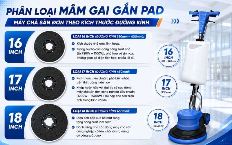 Phân loại mâm gai gắn pad máy chà sàn đơn theo kích thước đường kính