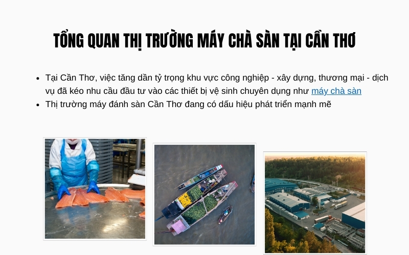 Tổng Quan Thị Trường Máy Chà Sàn Tại Cần Thơ