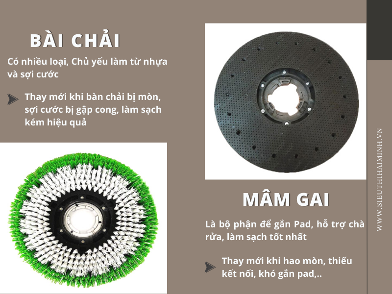 bàn chải mâm gai máy chà sàn