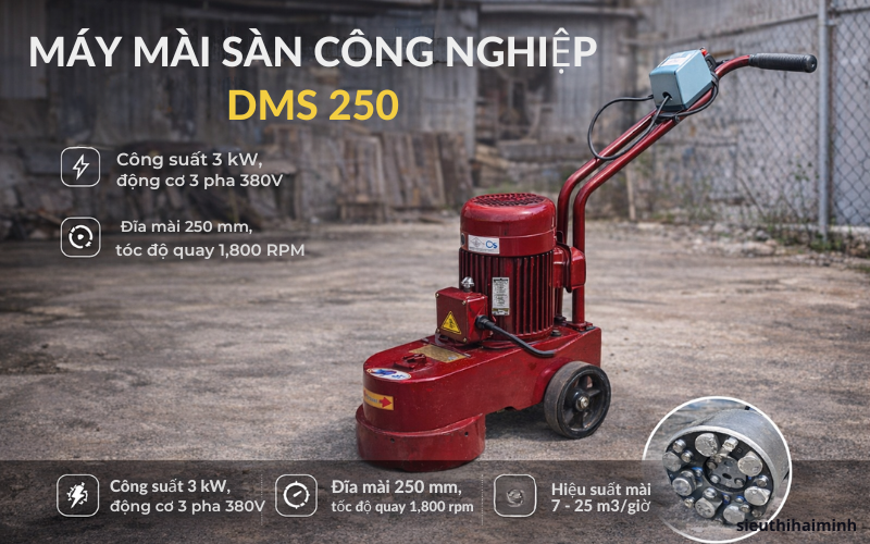 Máy mài sàn công nghiệp DMS 250  