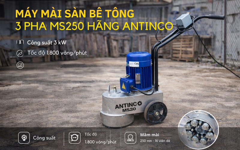 Máy mài sàn bê tông 3 pha MS250 hãng Antinco