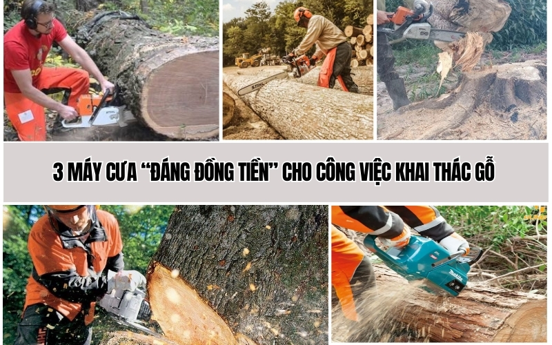 3 máy cưa đáng đồng tiền cho công việc khai thác gỗ