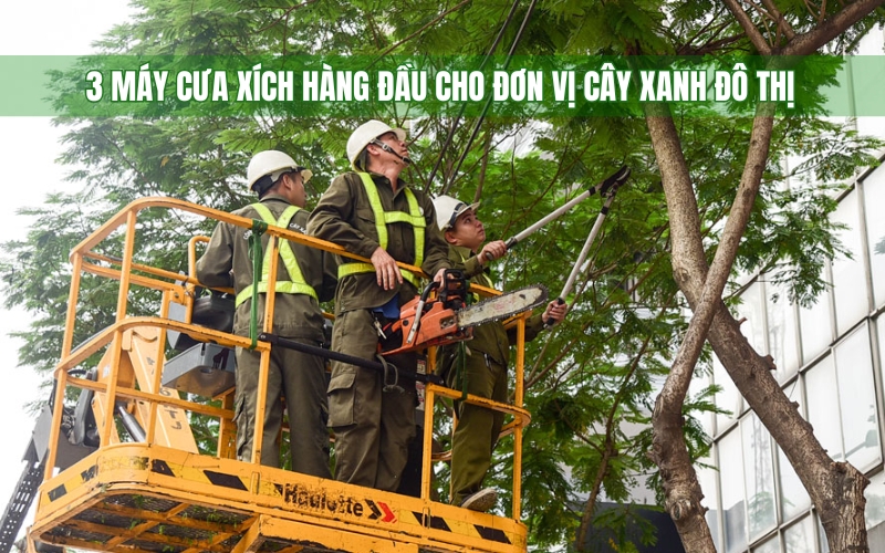 3 máy cưa xích hàng đầu cho đơn vị cây xanh đô thị