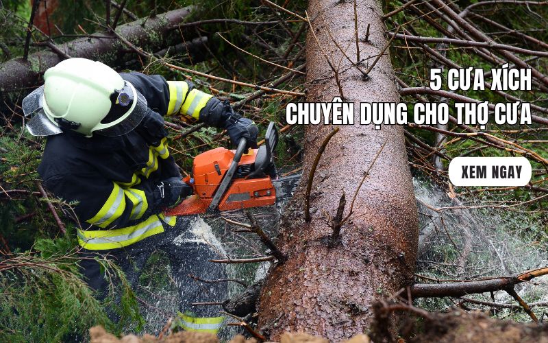 5 cưa xích chuyên dụng cho thợ cưa
