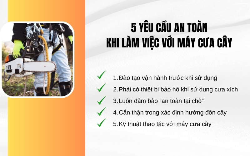 5 yêu cầu an toàn khi làm việc với máy cưa cây