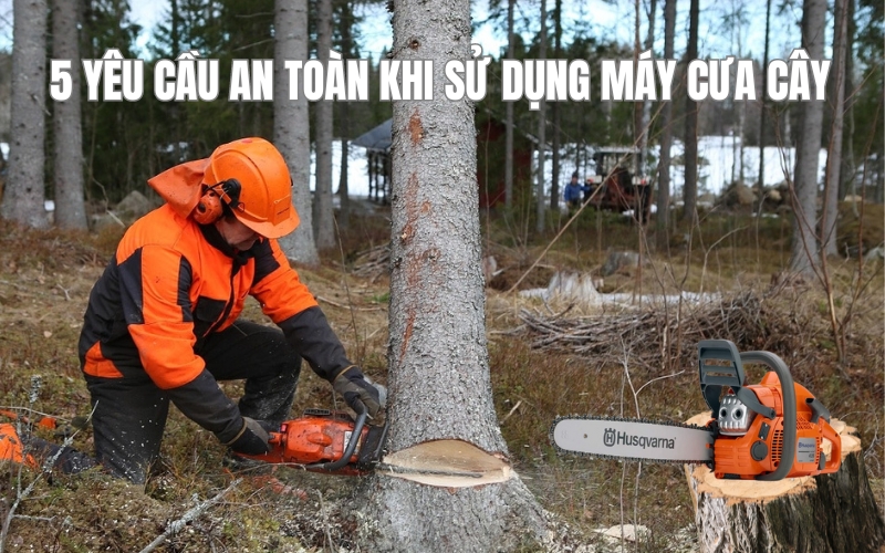 5 yêu cầu an toàn khi sử dụng máy cưa cây