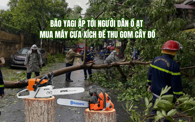 Bão Yagi ập tới người dân ồ ạt mua máy cưa xích để thu gom cây đổ