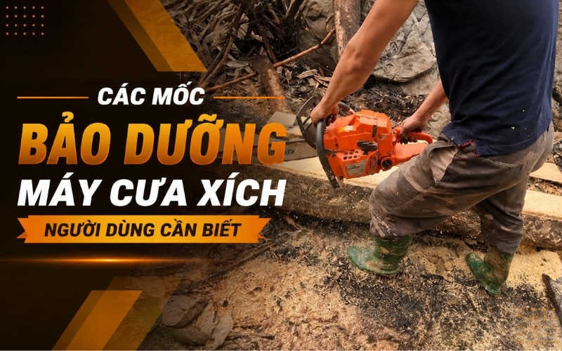 Các mốc bảo dưỡng máy cưa xích người dùng cần biết