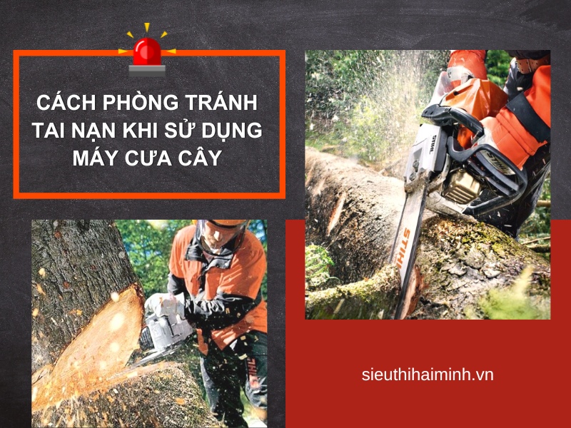 Cách phòng tránh tai nạn khi sử dụng máy cưa cây