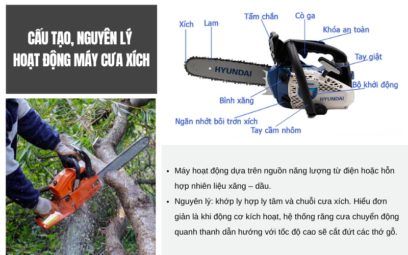 Cấu tạo, nguyên lý hoạt động của máy cưa xích