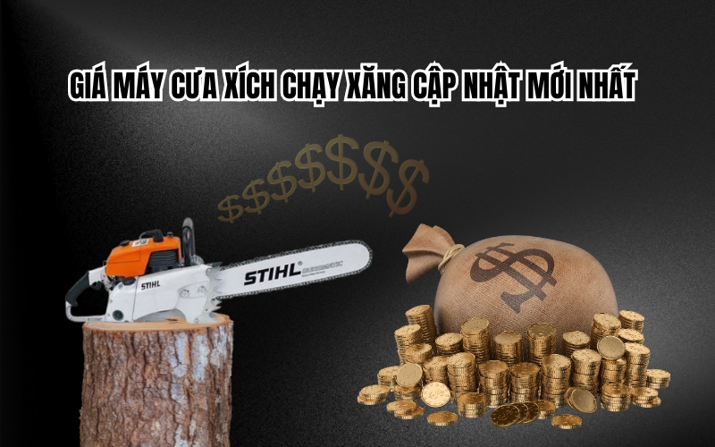 Giá máy cưa xích chạy xăng cập nhật mới nhất