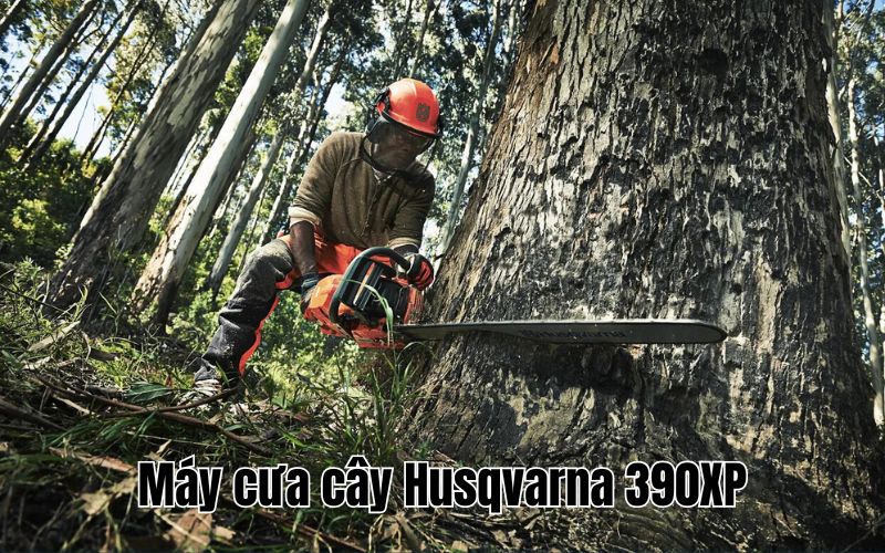 Máy cưa cây Husqvarna 390XP