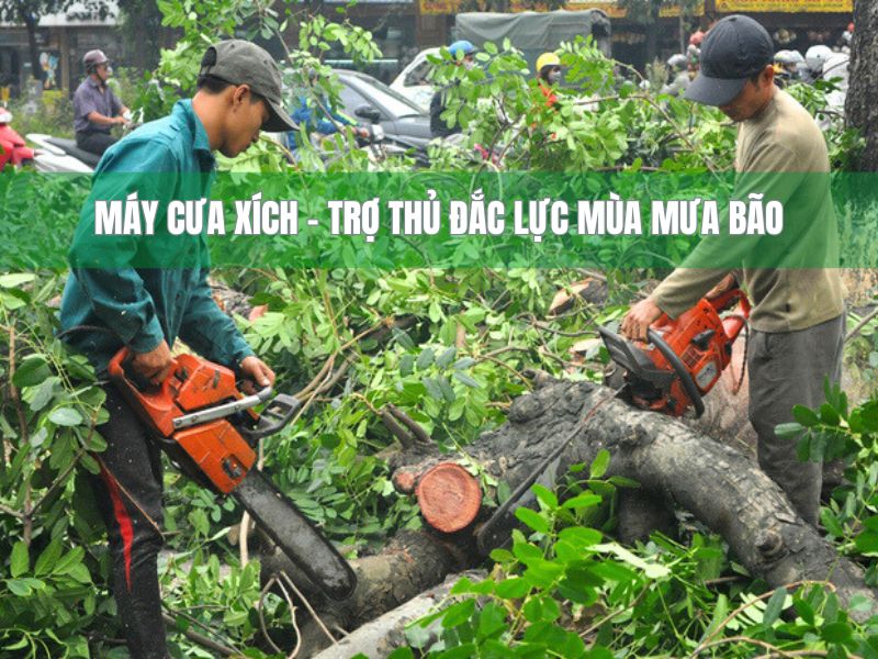 Máy cưa xích – trợ thủ đắc lực mùa mưa bão