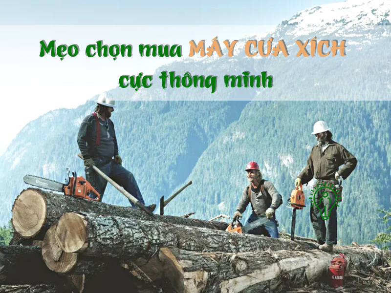 Mẹo Chọn Mua Máy Cưa Xích Cực Thông Minh