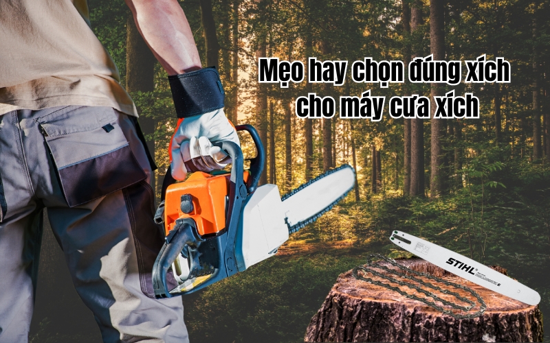 Mẹo hay chọn đúng xích cho máy cưa xích