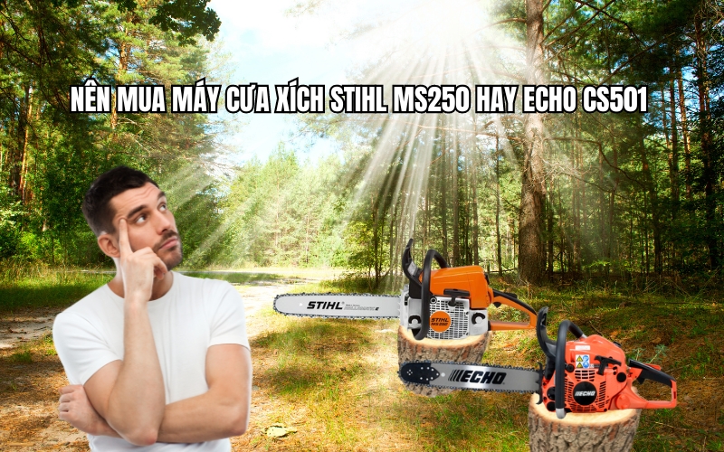 Nên mua máy cưa xích Stihl MS250 hay Echo CS501