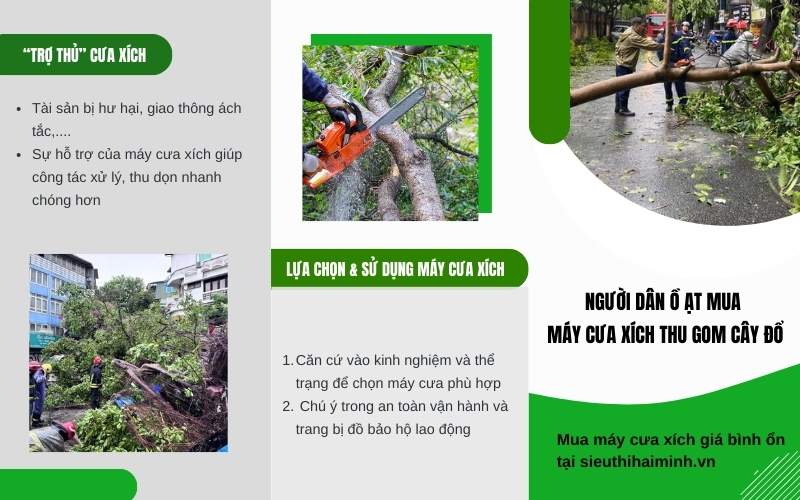 Người dân ồ ạt mua máy cưa xích để thu gom cây đổ