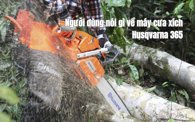 Người dùng nói gì về máy cưa xích Husqvarna 365