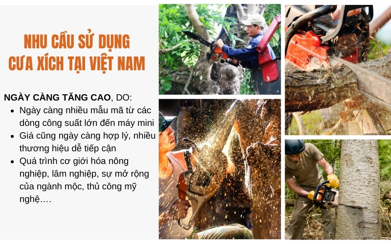 Nhu cầu sử dụng máy cưa xích tại Việt Nam hiện nay