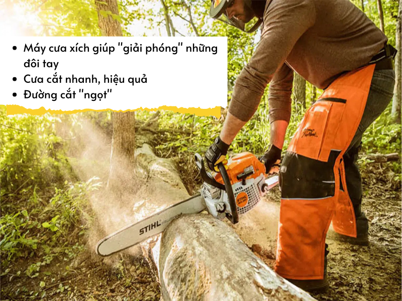 Sự cần thiết của một chiếc máy cưa cây