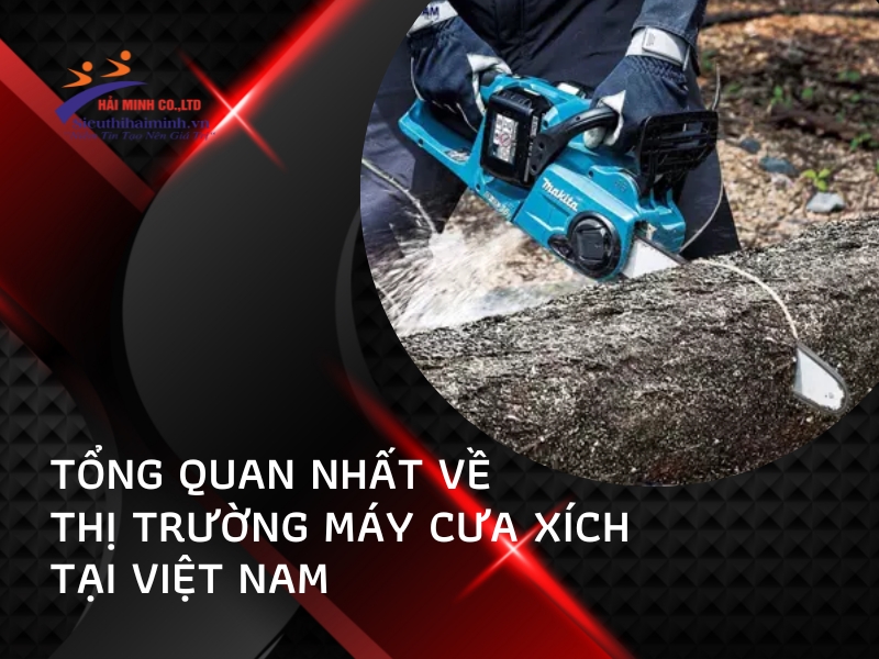 tổng quan về thị trường máy cưa xích