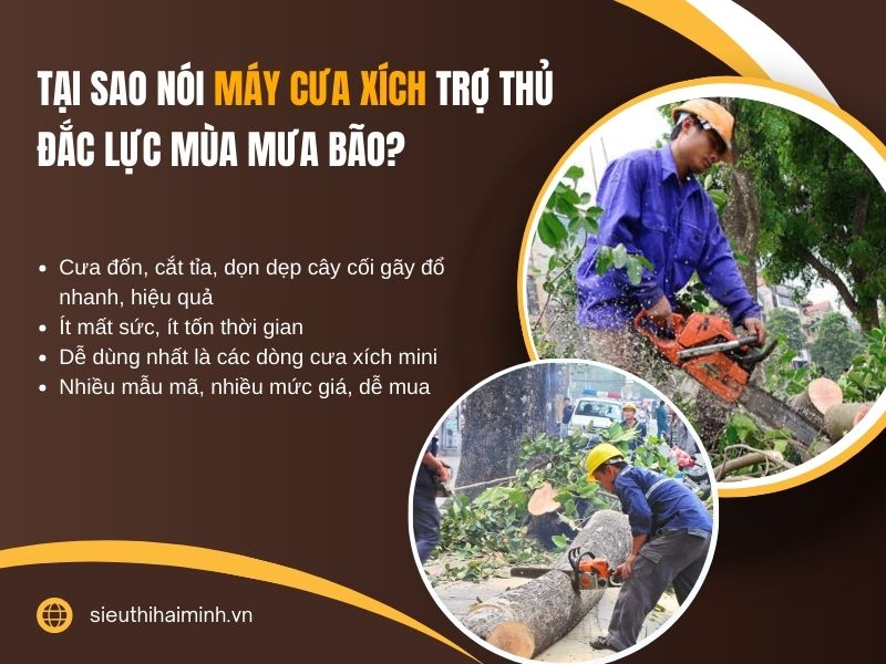 Tại sao nói máy cưa xích – trợ thủ đắc lực mùa mưa bão