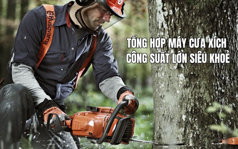 Tổng hợp máy cưa xích công suất lớn siêu khoẻ