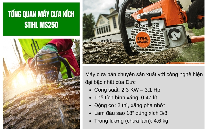 Tổng quan may cua xich Stihl 250